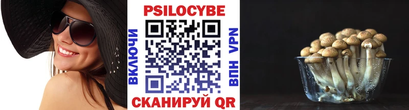 Галлюциногенные грибы ЛСД  Вяземский 